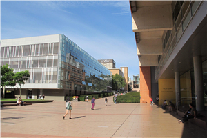 新南威尔士大学